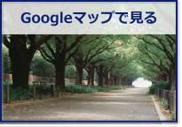 Google}bvŌ